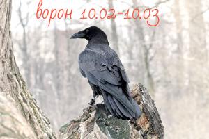 Slovanský kalendár zvierat - horoskop podľa roku a mesiaca narodenia