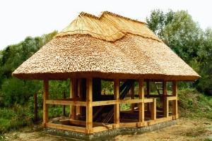 DIY trstična streha