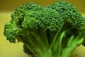 Naudingos brokolių savybės ir brokolių žala Iš ko kilo brokolių pavadinimas?
